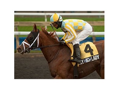 Sky High Lady won the 2013 River Memories Stakes.