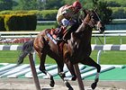 Le Grand Cru pulls away in the Westchester. <br><a target="blank" href="http://www.bloodhorse.com/horse-racing/photo-store?ref=http%3A%2F%2Fpictopia.com%2Fperl%2Fgal%3Fprovider_id%3D368%26ptp_photo_id%3D8937389%26ref%3Dstory">Order This Photo</a>