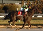 Interborough Handicap winner Control System is the probable favorite in the Distaff Handicap.