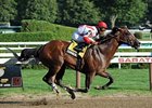 Currency Swap faces Trinniberg and 7 others in the Gallant Bob.<br><a target="blank" href="http://photos.bloodhorse.com/AtTheRaces-1/at-the-races-2012/22274956_jFd5jM#!i=1994660017&k=hHWvdXs">Order This Photo</a>