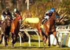 Den's Legacy streaks home to win the Generous Stakes.