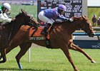 Simply Splendid Holds on for Nassau Victory Simply Splendid Holds on for Nassau Victory