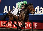 Lines of Battle takes the UAE Derby.<br><a target="blank" href="http://photos.bloodhorse.com/AtTheRaces-1/at-the-races-2013/27257665_QgCqdh#!i=2432681471&k=44nJ9qk">Order This Photo</a>
