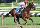 Worstcasescenario will try to stay unbeaten in the Matron.<br><a target="blank" href="http://www.bloodhorse.com/horse-racing/photo-store?ref=http%3A%2F%2Fpictopia.com%2Fperl%2Fgal%3Fprovider_id%3D368%26ptp_photo_id%3D8415446%26ref%3Dstory">Order This Photo</a>