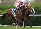 Bizarre Bourbon Won by Maiden Animal Spirits Bizarre Bourbon Won by Maiden Animal Spirits
