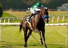 Lady of Shamrock makes her first Belmont Park start in the New York Stakes.