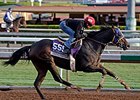 Living The Life<br><a target="blank" href="http://photos.bloodhorse.com/BreedersCup/2014-Breeders-Cup/Works/i-63SH4w2">Order This Photo</a>