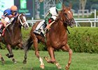 Five Iron <br><a target="blank" href="http://photos.bloodhorse.com/AtTheRaces-1/at-the-races-2013/27257665_QgCqdh#!i=2737621467&k=tcTTv4p">Order This Photo</a>
