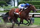 The Big Beast faces 9 in the Forego.<br><a target="blank" href="http://photos.bloodhorse.com/AtTheRaces-1/At-the-Races-2014/i-FcGCmtq">Order This Photo</a>