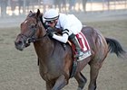 In Trouble<br><a target="blank" href="http://photos.bloodhorse.com/AtTheRaces-1/at-the-races-2013/27257665_QgCqdh#!i=2807792489&k=S7WjNxB">Order This Photo</a>