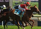 Awesome Fire wins the Wonder Where Stakes.