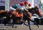 Eye of the Leopard was a determined winner of the Queen's Plate.