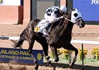 Black Hills in the 2011 Sunland Park Handicap.