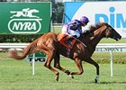 Cape Blanco in the Man o' War Stakes.
<br><a target="blank" href="http://www.bloodhorse.com/horse-racing/photo-store?ref=http%3A%2F%2Fpictopia.com%2Fperl%2Fgal%3Fprovider_id%3D368%26ptp_photo_id%3D9591219%26ref%3Dstory">Order This Photo</a>