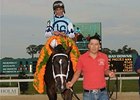 Verrazano