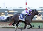 Handsome Mike to Stand at Pleasant Acres Handsome Mike to Stand at Pleasant Acres