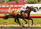Favorite She's a Tiger delivers in the Landaluce Stakes.