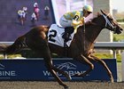 Northern Passion finished 2nd in the Woodbine Oaks.