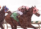 Greenspring Sets Track Record in Gen. George Greenspring Sets Track Record in Gen. George