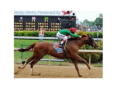 Animal Kingdom in the 2011 Kentucky Derby.<br><a target="blank" href="http://www.bloodhorse.com/horse-racing/photo-store?ref=http%3A%2F%2Fpictopia.com%2Fperl%2Fgal%3Fprovider_id%3D368%26ptp_photo_id%3D9520029%26ref%3Dstory">Order This Photo</a>