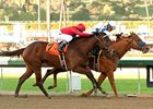 Since Dec. 31, Sugarinthemorning (left) has placed second in four of five starts.