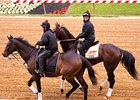 Orb gets acquainted with the Pimlico track on Wednesday.