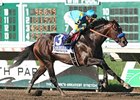 Paynter Heading to Belmont, Much Improved Paynter Heading to Belmont, Much Improved