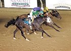 Turf War Headed to WinStar Derby? Turf War Headed to WinStar Derby?
