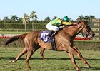 Askbut I Won'ttell flies late to win the My Charmer.