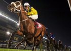 Master of Hounds Wires Field in Jebel Hatta Master of Hounds Wires Field in Jebel Hatta
