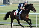 Twice Over at the 2010 Dubai World Cup.