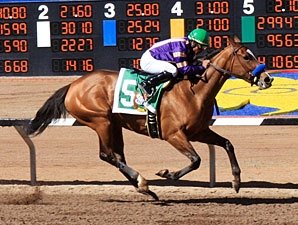 Plum Pretty Squishes Sunland Oaks Foes by 25 Plum Pretty Squishes Sunland Oaks Foes by 25