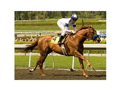 Sidney's Candy makes first start of the year in the Mervyn LeRoy Handicap.<br><a target="blank" href="http://www.bloodhorse.com/horse-racing/photo-store?ref=http%3A%2F%2Fpictopia.com%2Fperl%2Fgal%3Fprovider_id%3D368%26ptp_photo_id%3D8874685%26ref%3Dstory">Order This Photo</a>