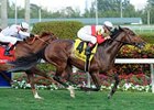 Data Link Doesn't Disappoint in Canadian Turf Data Link Doesn't Disappoint in Canadian Turf