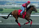 Up With the Birds is the 2-1 favorite in the $1 million Queen's Plate.
