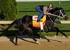 West Side Bernie works at Churchill Downs on April 25.<br><a target="blank" href="http://www.bloodhorse.com/horse-racing/photo-store?ref=http%3A%2F%2Fpictopia.com%2Fperl%2Fgal%3Fprovider_id%3D368%26ptp_photo_id%3D8040106%26ref%3Dstory">Order This Photo</a>