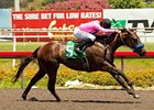 Scherer Magic charges home in the Hollywood Juvenile Championship.