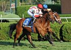 Balance the Books and Joha finished a head apart in the With Anticipation.<br><a target="blank" href="http://photos.bloodhorse.com/AtTheRaces-1/at-the-races-2012/22274956_jFd5jM#!i=2057483270&k=mghhpNf">Order This Photo</a>