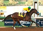 Thegirlinthatsong tries for her second straight graded-stakes victory in the Santa Maria Stakes.