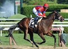 Willy Beamin in the 2012 King's Bishop Stakes (gr. I).