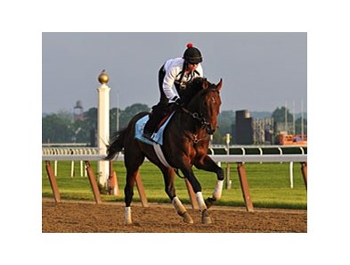 Orb
<br><a target="blank" href="http://photos.bloodhorse.com/TripleCrown/2013-Triple-Crown/Belmont-Stakes-145/29744699_jpqpwR#!i=2559159882&k=RvDLPK6">Order This Photo</a>
