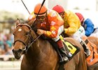 Evening Jewel will attempt to win her 2nd grade I victory of the season in the Del Mar Oaks.<br><a target="blank" href="http://www.bloodhorse.com/horse-racing/photo-store?ref=http%3A%2F%2Fpictopia.com%2Fperl%2Fgal%3Fprovider_id%3D368%26ptp_photo_id%3D9119554%26ref%3Dstory">Order This Photo</a>