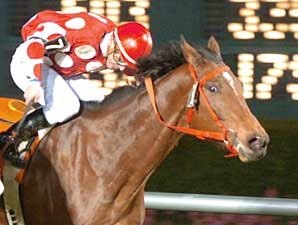 Trainer Locke Lands 1,000th Career Win Trainer Locke Lands 1,000th Career Win