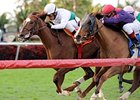 Tokyo Time (right) finished 2nd in the Herecomesthebride Stakes March 2.<br><a target="blank" href="http://photos.bloodhorse.com/AtTheRaces-1/at-the-races-2013/27257665_QgCqdh#!i=2389746860&k=XgFF6xN">Order This Photo</a>