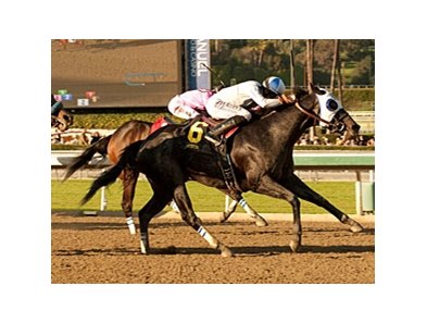 Sahara Sky rallies late to win the San Carlos Stakes at Santa Anita Park.