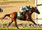 My Best Brother Just Better in Del Mar Derby My Best Brother Just Better in Del Mar Derby
