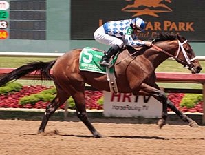 Coyote Legend Favored For Super Derby Prelude Coyote Legend Favored For Super Derby Prelude