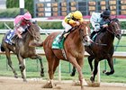 Bashford Manor winner Backtalk is set to make his next start in the Sanford Stakes at Saratoga.