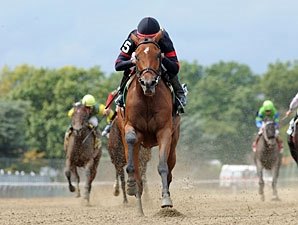 Awesome Feather On Target for Ladies Classic Awesome Feather On Target for Ladies Classic