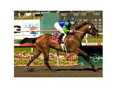Rail Trip<br><a target="blank" href="http://www.bloodhorse.com/horse-racing/photo-store?ref=http%3A%2F%2Fpictopia.com%2Fperl%2Fgal%3Fprovider_id%3D368%26ptp_photo_id%3D8320303%26ref%3Dstory">Order This Photo</a>